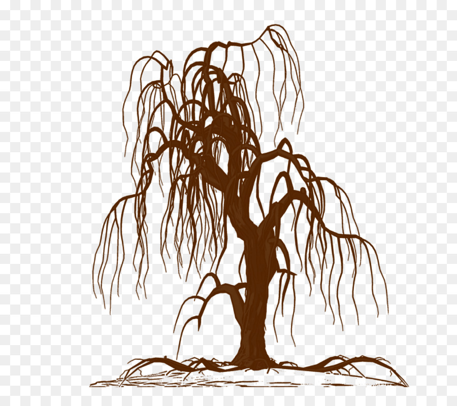 Wall decal Weeping willow Tree Drawing Silhouette - tree png download - 800*800 - Free Transparent Wall Decal png Download.