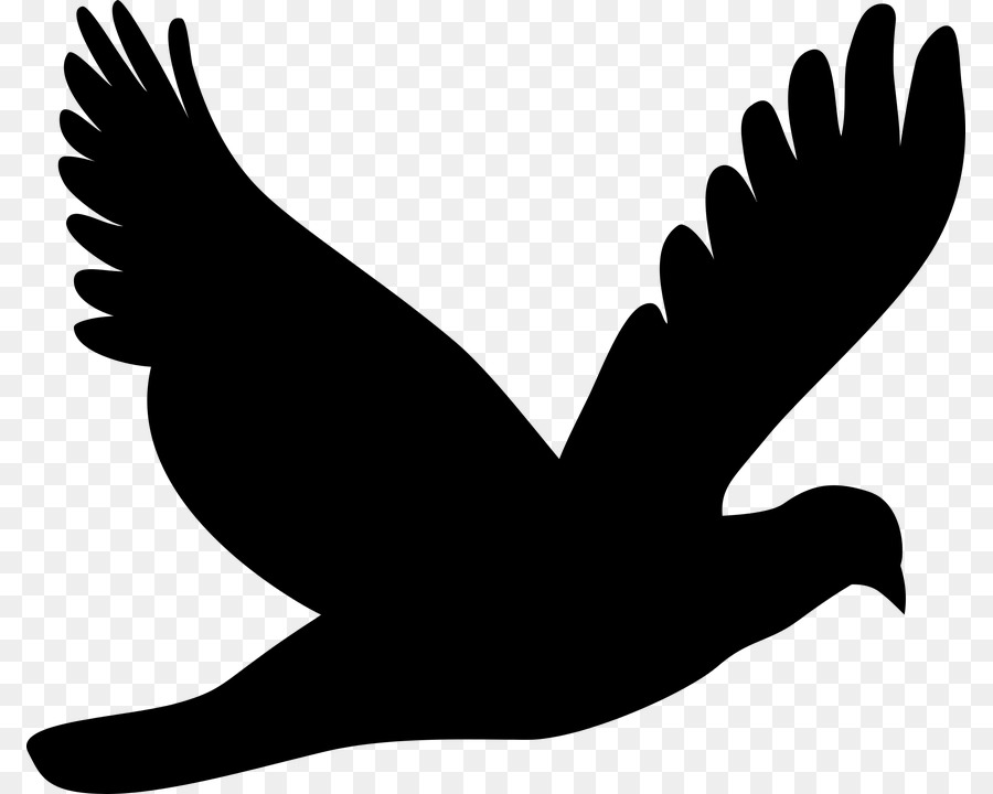 Vector graphics Clip art Silhouette Pigeons and doves Flight - chick silhoutte png vector png download - 851*720 - Free Transparent Silhouette png Download.
