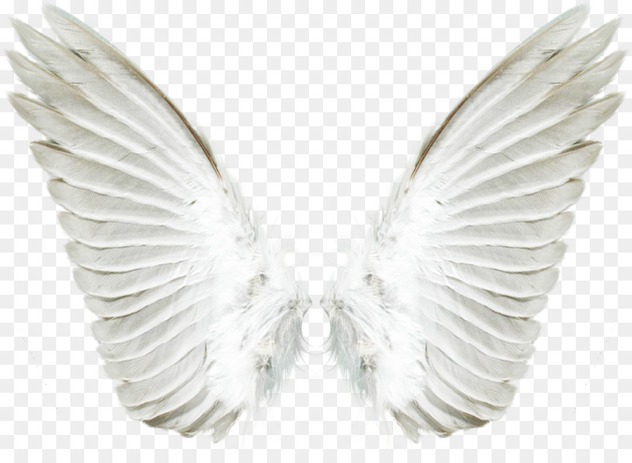 Portable Network Graphics Clip art Image Computer file Wing - angel wing transparent png download - 3500*2495 - Free Transparent Wing png Download.