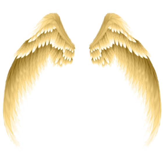 Photography Clip art Golden wings png download 564*564