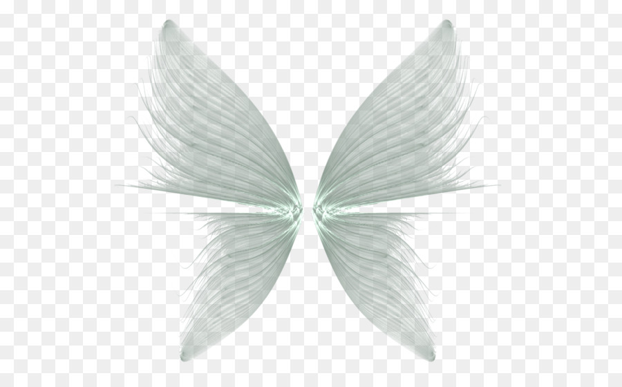 Butterfly Drawing Feather - Wings Transparent Background png download - 600*547 - Free Transparent Butterfly png Download.