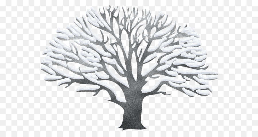 Tree Clip art - Winter Snowy Black Tree PNG Picture png download - 1249*897 - Free Transparent Tree png Download.