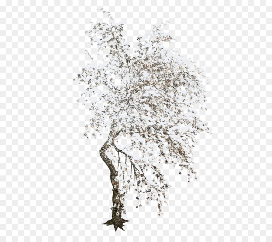 Tree Winter Clip art - Winter trees png download - 544*800 - Free Transparent Tree png Download.