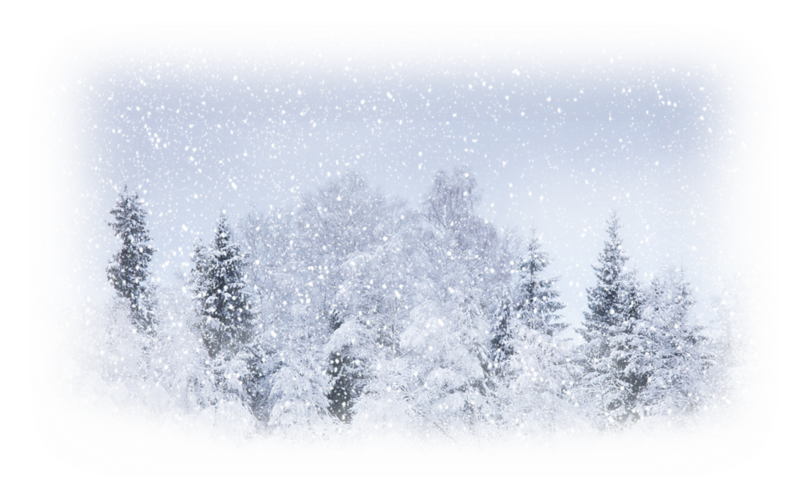 Snow Weather Winter storm Blizzard - snow png download - 800*500 - Free