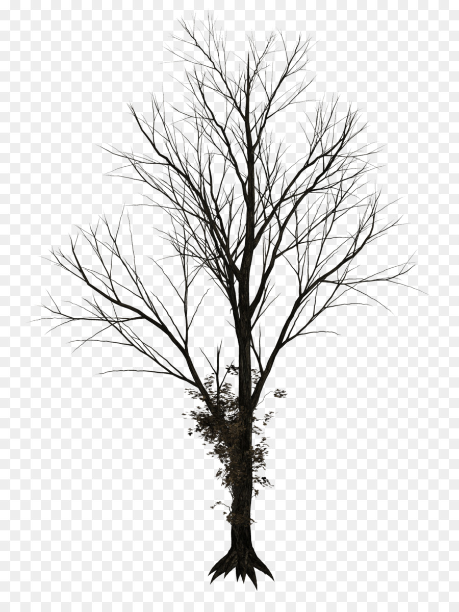 Tree Drawing Clip art - winter trees png download - 1024*1346 - Free Transparent Tree png Download.