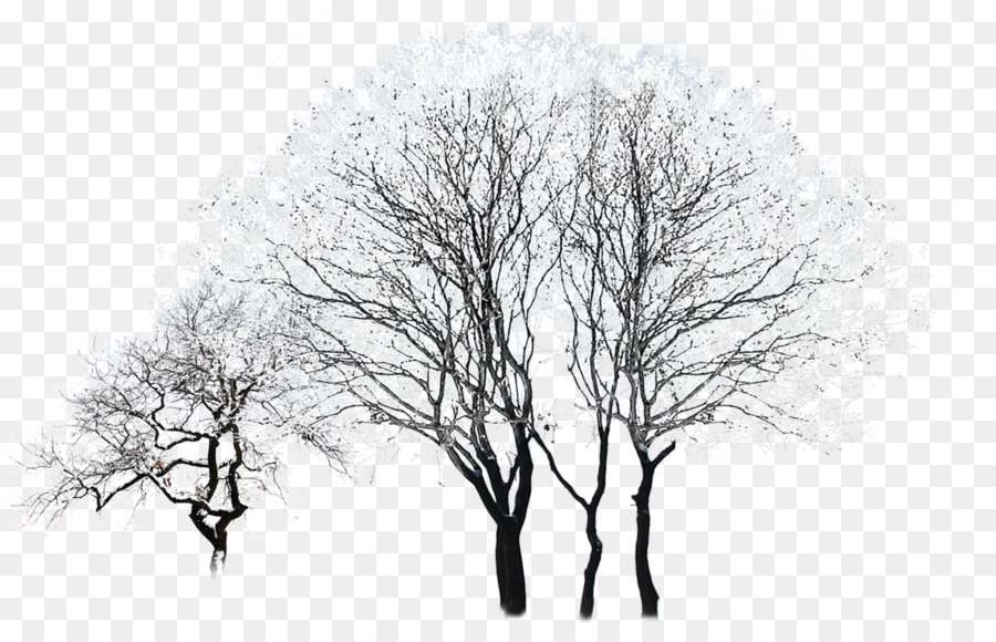 Tree Winter Black and white - Snowy trees png download - 1180*740 - Free Transparent Tree png Download.