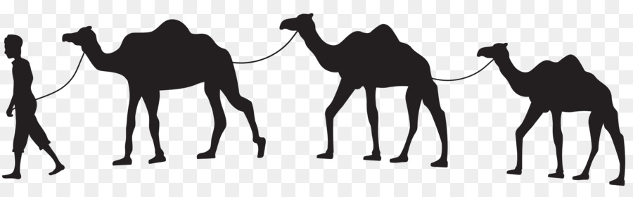 Dromedary Camel train Silhouette Horse Clip art - camel png download - 8000*2380 - Free Transparent Dromedary png Download.