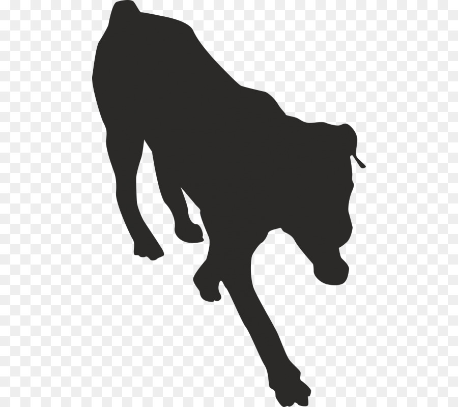 Euclidean vector Silhouette Vector graphics Dog breed - Silhouette png download - 800*800 - Free Transparent Silhouette png Download.