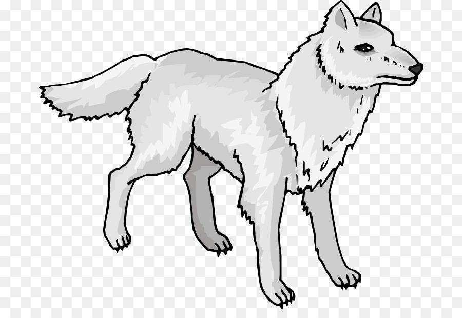 Arctic wolf Mexican wolf Arctic fox Clip art - Snow Seal Cliparts png download - 750*604 - Free Transparent Arctic Wolf png Download.