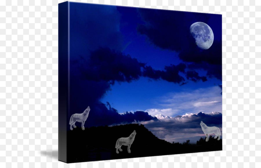 Moon Desktop Wallpaper Stock photography Gray wolf - wolf howling in the moonlight png download - 650*570 - Free Transparent Moon png Download.