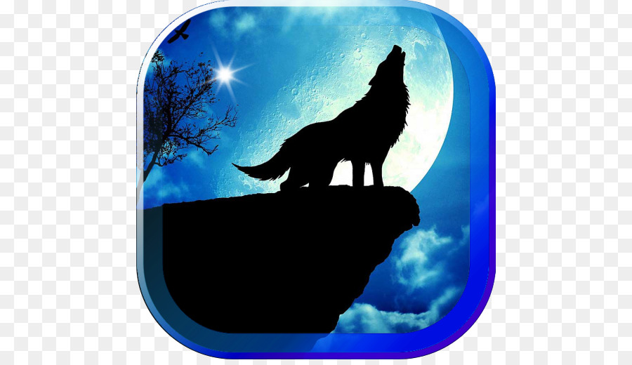 Shoot for the Moon Supermoon Gray wolf Wolf Wallpapers - moon png download - 512*512 - Free Transparent Supermoon png Download.