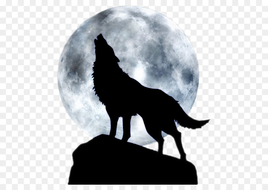 Dog Full moon T-shirt Black wolf - BLUE WOLF png download - 532*622 - Free Transparent Dog png Download.