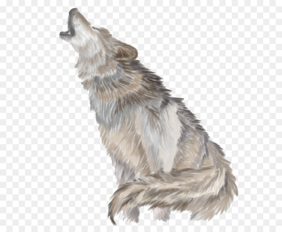 Gray wolf Clip art - Wolves Howl PNG png download - 713*740 - Free Transparent Dog png Download.