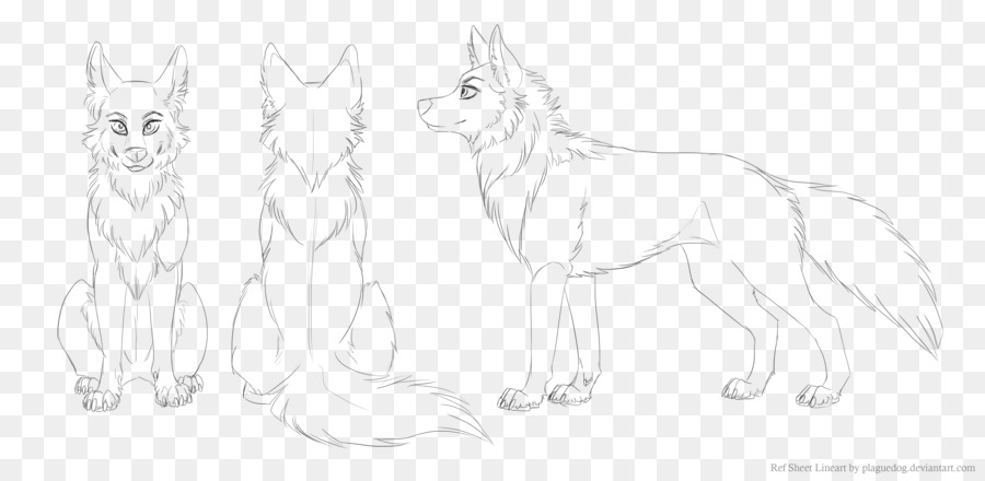 Gray wolf Line art Drawing Sketch - Blank sheet png download - 900*437 - Free Transparent Gray Wolf png Download.