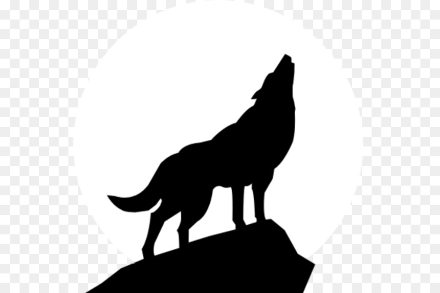 Gray wolf Stencil Silhouette Art Clip art - Wolf Head Outline png download - 599*600 - Free Transparent Gray Wolf png Download.