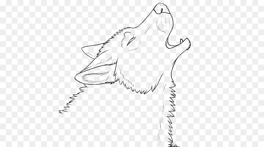 Gray wolf Line art Drawing Clip art - Howling png download - 500*500 - Free Transparent  png Download.