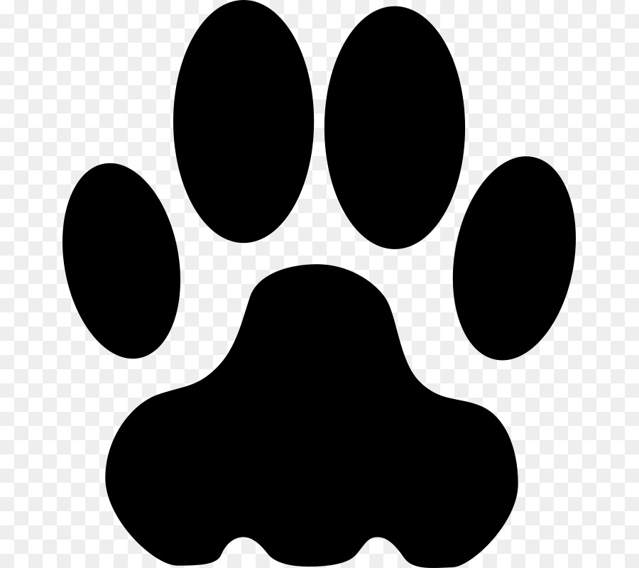 Paw Australian Shepherd Clip art - others png download - 723*800 - Free Transparent Paw png Download.