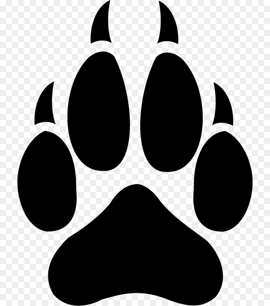 Gray wolf Cat T-shirt Paw Clip art - claw png download - 784*1019 - Free Transparent Gray Wolf png Download.