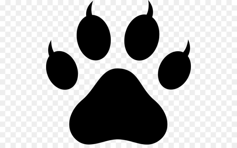 Dog Polydactyl cat Paw Clip art - claw vector png download - 550*547 - Free Transparent Dog png Download.
