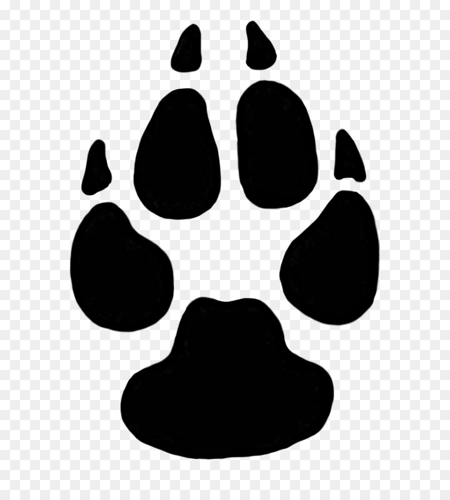 Cougar Dog Lion Animal track Paw - Dog png download - 768*996 - Free Transparent Cougar png Download.