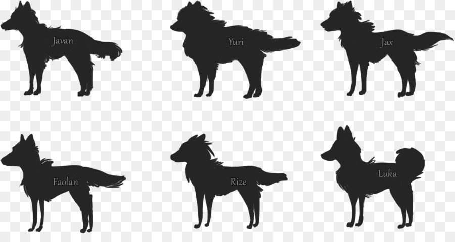 Gray wolf Silhouette Schipperke Dog breed Drawing - Silhouette png download - 1287*664 - Free Transparent Gray Wolf png Download.