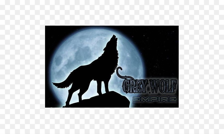 Black wolf Dog Pack Drawing Alpha - Dog png download - 537*537 - Free Transparent Black Wolf png Download.