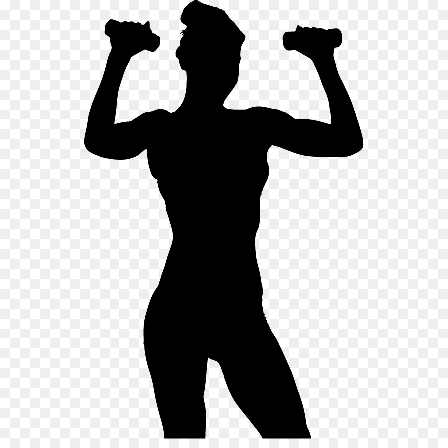 Weight training Olympic weightlifting Dumbbell Physical exercise Silhouette - female fitness png download - 563*881 - Free Transparent Weight TRAINING png Download.