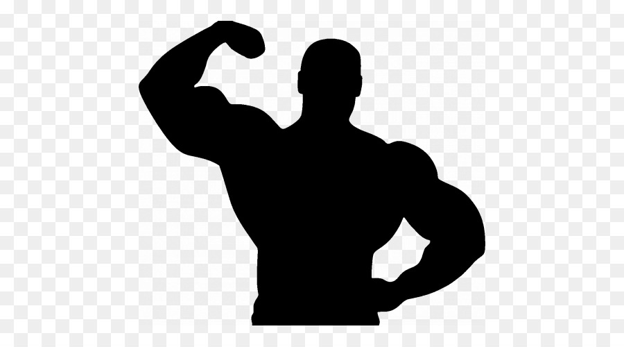 Fitness Centre Silhouette Bodybuilding Physical fitness - Silhouette png download - 500*500 - Free Transparent Fitness Centre png Download.