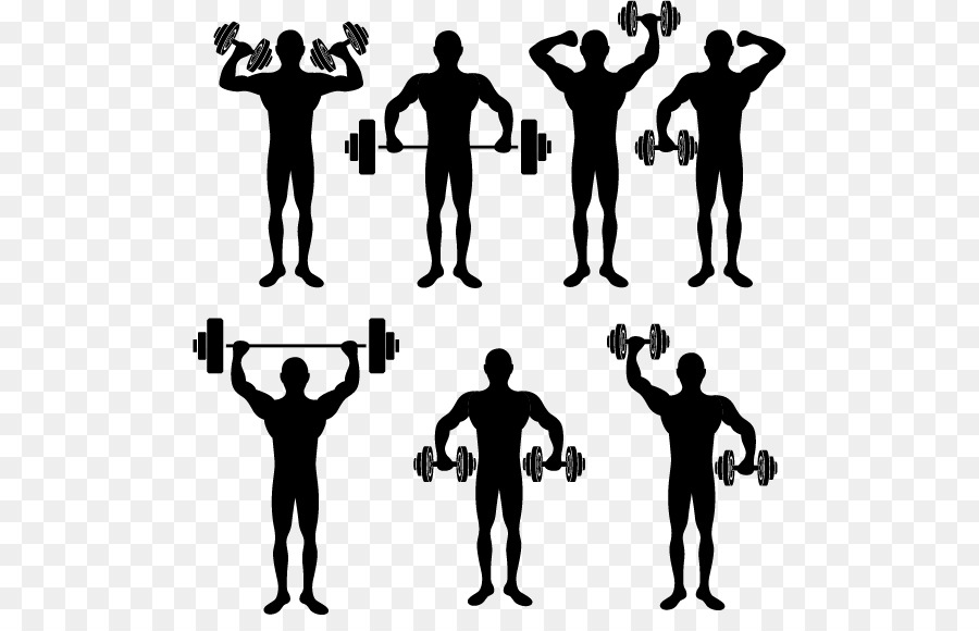 Physical exercise Physical fitness Stretching Silhouette - Exercise male silhouette material png download - 546*565 - Free Transparent Physical Exercise png Download.