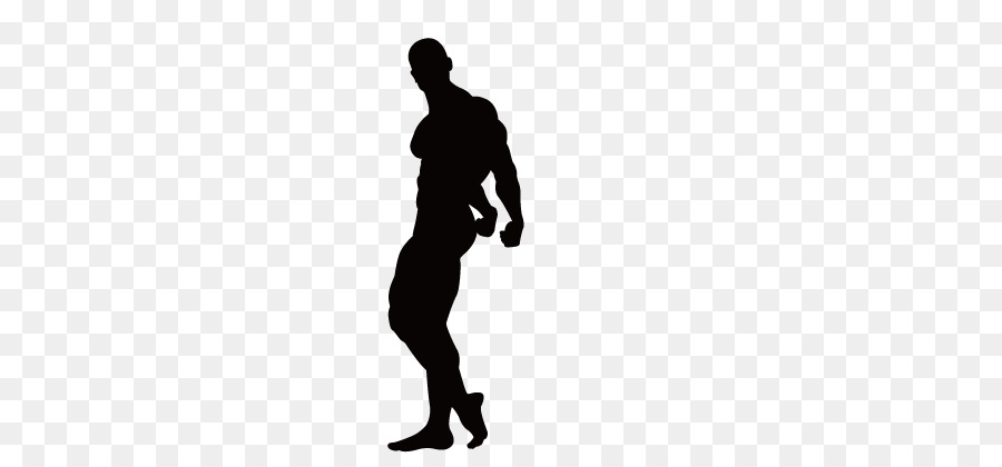 Fitness centre Bodybuilding Physical exercise Clip art - Fitness silhouette figures png download - 721*407 - Free Transparent Fitness Centre png Download.