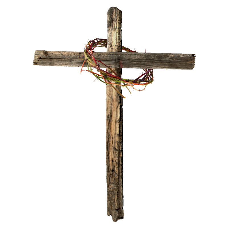 Crown Of Thorns Calvary Christian Cross Stock Photography Resurrection Of Jesus Cross Jesus Png Download 800 800 Free Transparent Crown Of Thorns Png Download Clip Art Library