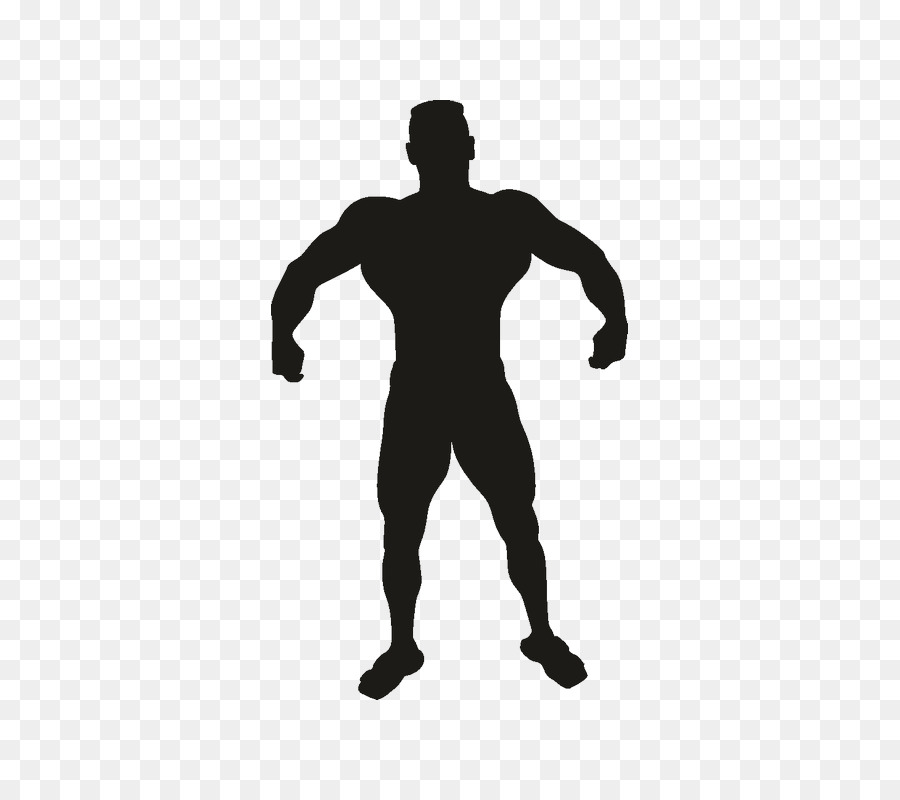 Vitruvian Man Fitness centre Silhouette Clip art - Silhouette png download - 800*800 - Free Transparent Vitruvian Man png Download.