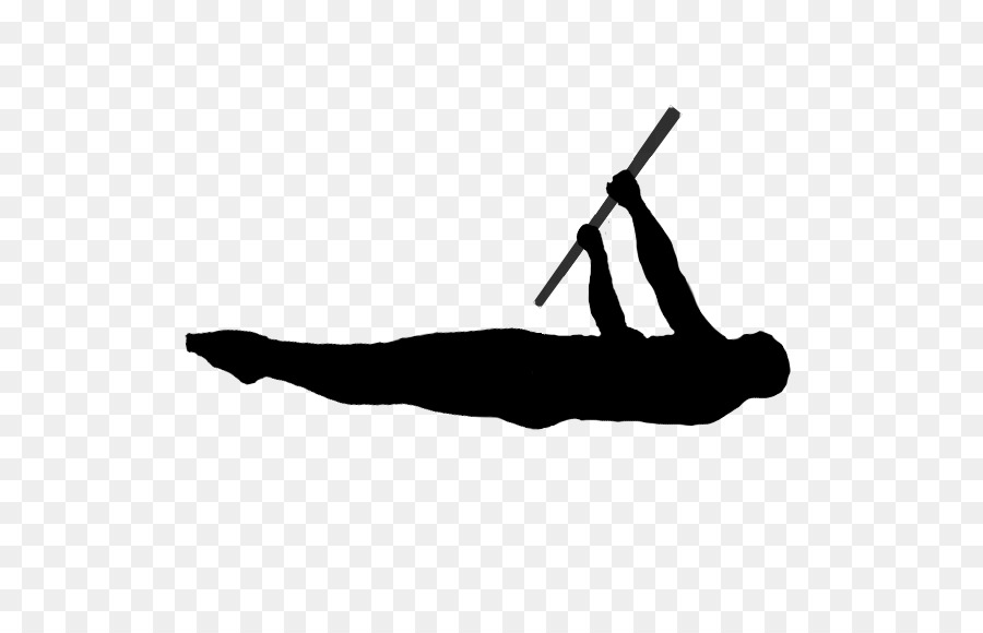Physical fitness Front lever Calisthenics Street workout Silhouette - others png download - 570*570 - Free Transparent  Physical Fitness png Download.