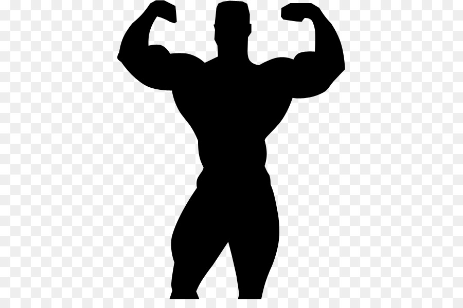Silhouette Bodybuilding Professional wrestling Clip art - Silhouette png download - 443*583 - Free Transparent Silhouette png Download.