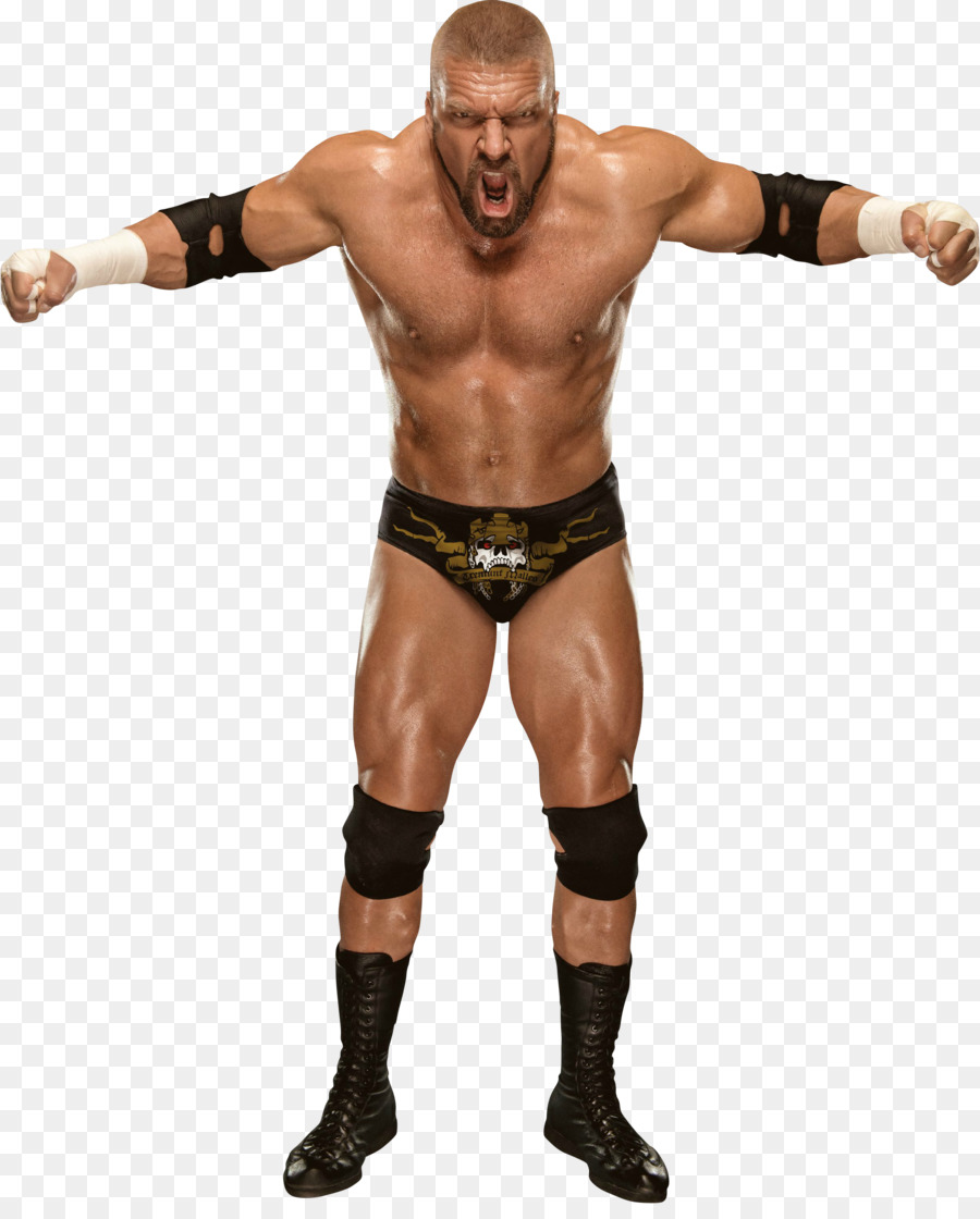 World Heavyweight Championship D-Generation X - Triple H PNG Transparent Image png download - 2404*2953 - Free Transparent  png Download.