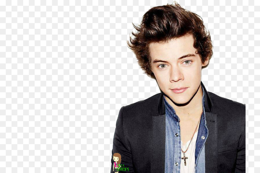 Harry Styles 2013 Brit Awards The X Factor One Direction Photo shoot - STYLE png download - 800*600 - Free Transparent  png Download.