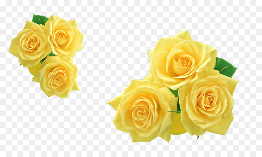 Rose Yellow Flower Clip art - Yellow Rose png download - 1007*586 - Free Transparent Rose png Download.