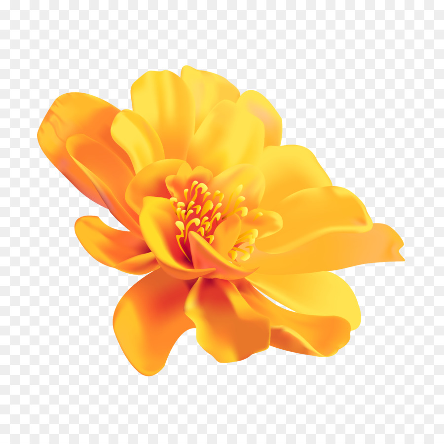 Free Yellow Flower Transparent, Download Free Yellow Flower Transparent