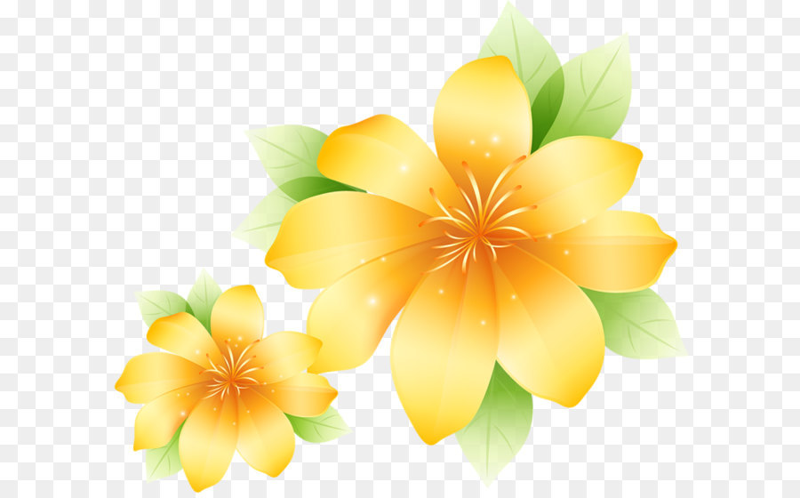 Flower Yellow Art Painting Poster - Large Yellow Flower Clipart png download - 800*685 - Free Transparent Flower png Download.