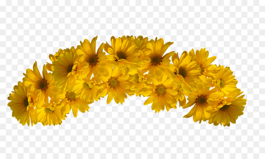 Flower Yellow Color - flower crown png download - 1084*650 - Free Transparent Flower png Download.