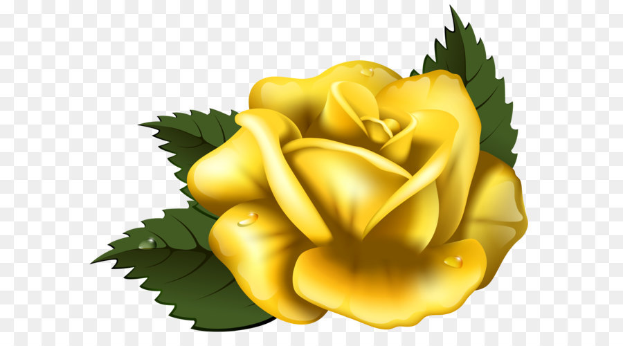 Rose Yellow Clip art - Large Yellow Rose Transparent PNG Clip Art Image png download - 7013*5280 - Free Transparent Yellow png Download.