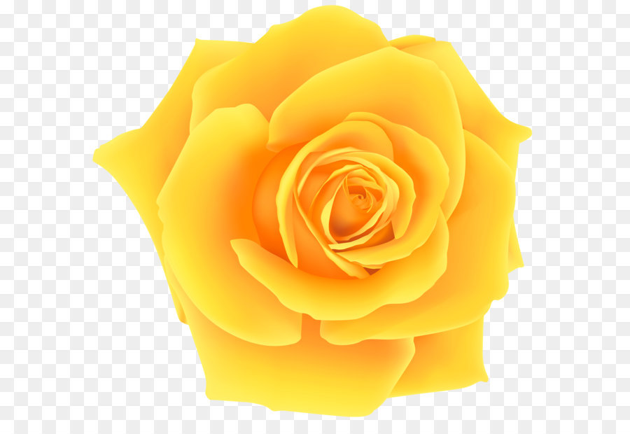 Rose Yellow Clip art - Yellow Rose PNG Clip Art Image png download - 8000*7426 - Free Transparent Yellow png Download.