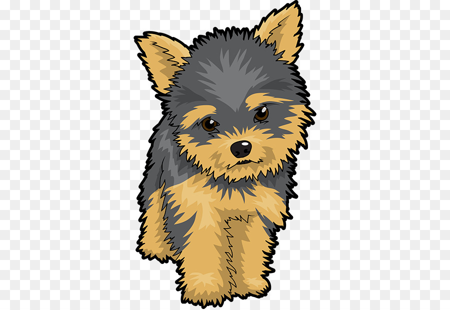 Yorkshire Terrier Cairn Terrier Puppy Clip art - puppy png download - 618*618 - Free Transparent Yorkshire Terrier png Download.
