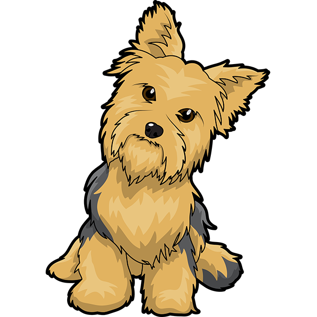 Yorkshire Terrier Puppy Maltese dog English Toy Terrier Clip art