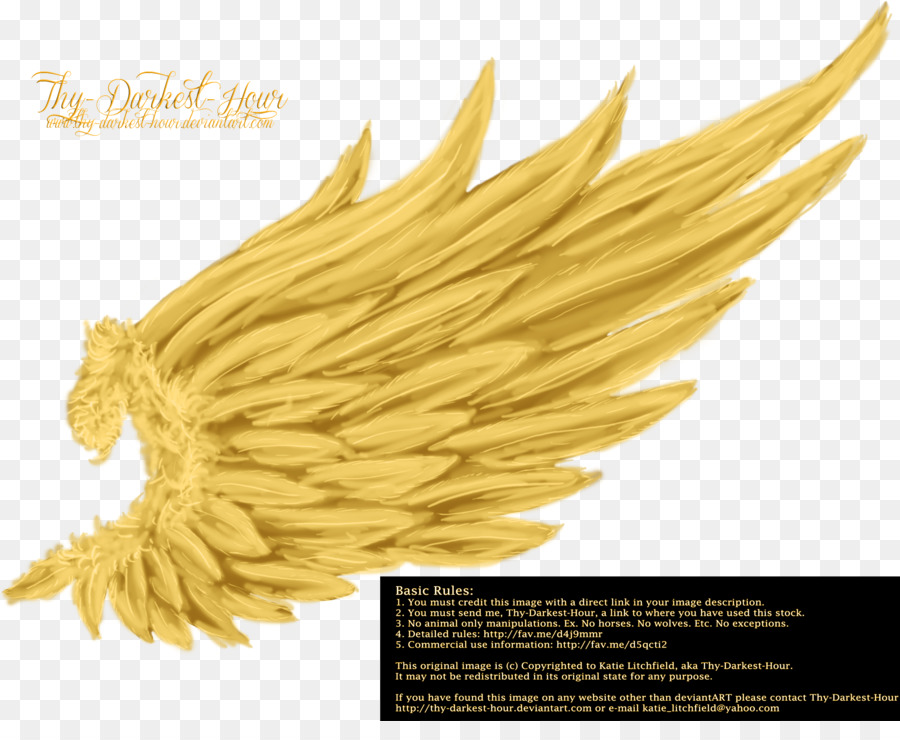 YouTube Gold Information - angel wings png download - 900*721 - Free Transparent Youtube png Download.