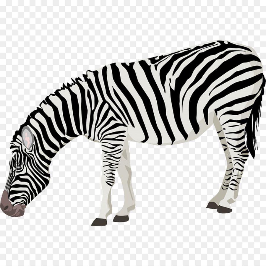 Zebra Computer Icons Clip art - stripe png download - 1200*1200 - Free Transparent Zebra png Download.
