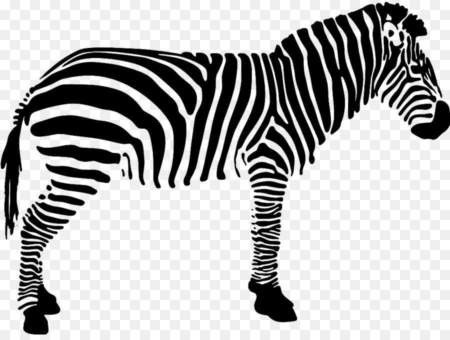Quagga Black and white Zebra - zebra png download - 1024*761 - Free Transparent Quagga png Download.