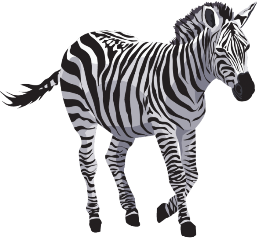 Zebra Png Clipart Png Mart - Riset