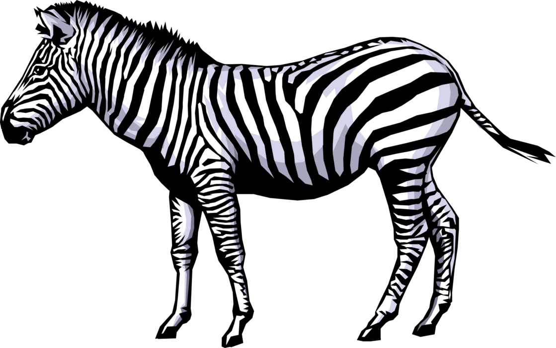 zebra cartoon