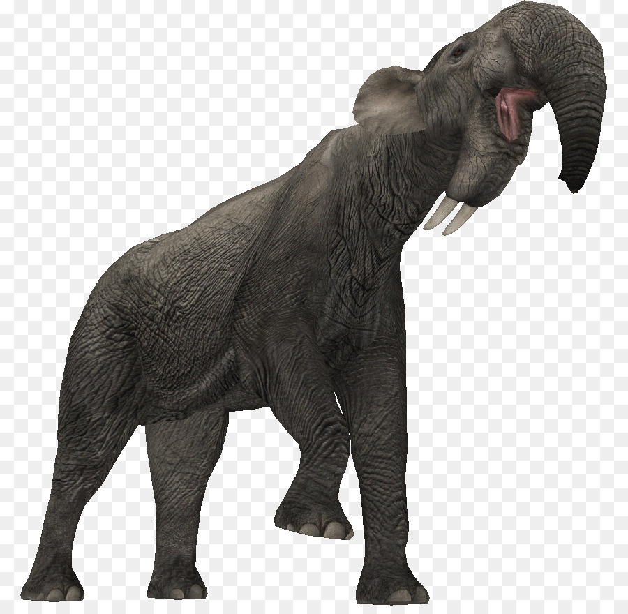 Indian elephant African elephant Zoo Tycoon 2: Extinct Animals Deinotherium - african forest elephant png download - 841*868 - Free Transparent Indian Elephant png Download.